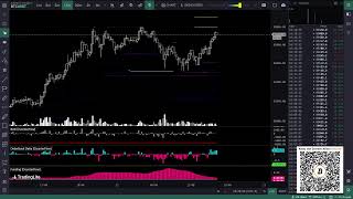 Bitcoin Live TradingLite [upl. by Brittney]