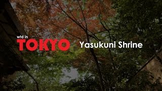 What to do in Tokyo Visiting the Yasukuni Shrine [upl. by Black340]