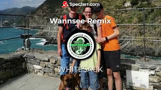 Die Toten Hosen  Wannsee Whitesack Remix [upl. by Htrahddis901]