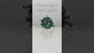 New Champagne Christmas Lights from Wintergreen Lighting [upl. by Mahgem291]