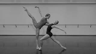 Rameau  Tendre Amour  Les Indes galantes William Christie  Libra a ballet by George Williamson [upl. by Judith]