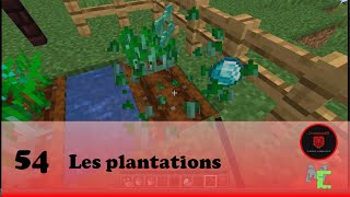 54  Mcreator Les plantations [upl. by Aihtenak]