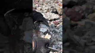 ASMR catch oyster asmr catch oyster [upl. by Einaej]