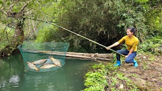 Excellent fishing skills Ana used fragrant bait to attract fish and caught many big fish [upl. by Azial]