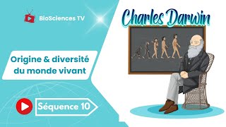 Lorigine amp la diversité du monde vivant Vidéo N°10  Modes de spéciation [upl. by Anitrak]