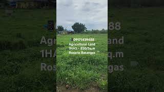 â‚±850sqm farmlotforsale forsale agrilandforsale viralpost [upl. by Lirba581]