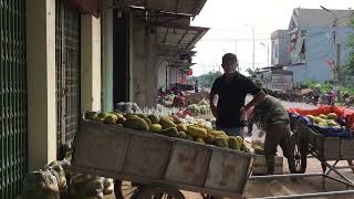 Understanding the Different Types of Melons [upl. by Huxley]