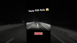 Tesla’s FSD Fails To Detect Deer On The Road Doesn’t Even Slow After Impact shorts teslafsdbeta [upl. by Ednutabab947]