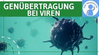 Genübertragung bei Viren einfach erklärt  Rekombination  Allgemeine amp spezielle Transduktion [upl. by Tirza]