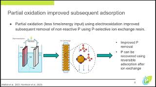 The Challenge of NonReactive Phosphorus Treatment and Recoverability Using Electrooxidation [upl. by Antony]