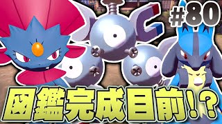 あと少しで図鑑完成だ！残りは大変な子ばかり！？『Pokémon LEGENDS アルセウス』を実況プレイpart80【ポケモンレジェンズ】 [upl. by Inava293]