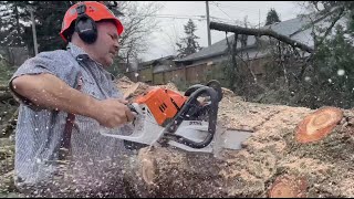 STIHL MS500i  World’s 1st Fuel Injected Chainsaw [upl. by Hauhsoj]