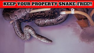 How to Prevent Snakes From Entering Your Home [upl. by Fiorenze]