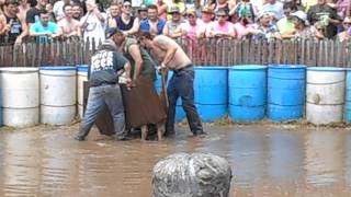 Caldron Falls Pig Wrestling 2017 Hog Wild [upl. by Elleirua]