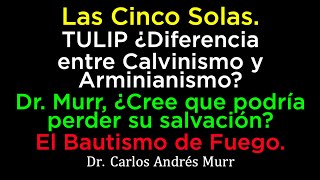 Las Cinco Solas – TULIP y calvinismo  ¿Podría usted perder su salvación  El Bautismo de Fuego [upl. by Loma]