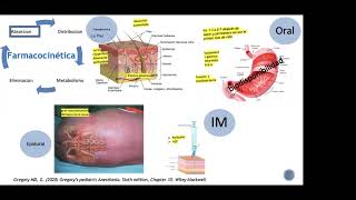 Farmacología Básica en el paciente pediátrico Anestésicos inhalados y endovenosos [upl. by Asilef]