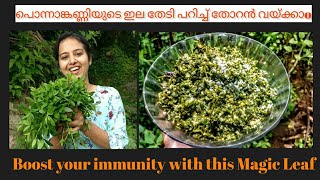 Ponnanganni Cheera recipe Malayalam The golden plant  Immunity BoosterAlternanthera sessilis [upl. by Llednohs632]