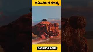 Whale explode facts kannada facts factsinkannada [upl. by Hareehahs]