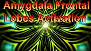 Amygdala Frontal Lobes ActivationGOLDEN MEDITATIONOpen your Third Eye PINEALWAVEPositive Vibes [upl. by Aneetsirhc71]