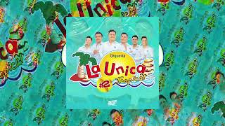 Mix La Única Tropical 2  Alexander Flow DJ [upl. by Briny414]