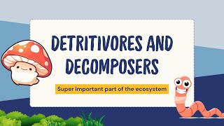 Detritivores vs Decomposers What’s the Difference  Ecosystem Breakdown  Biospeaks [upl. by Adnomar807]