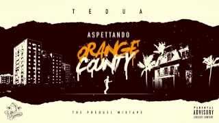 TEDUA  ASPETTANDO ORANGE COUNTY MIXTAPE [upl. by Phillada]