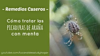 Cómo curar una picadura de araña con menta [upl. by Aimekahs]