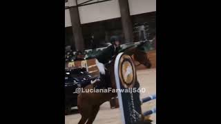 music remix horses pferd equestrian horseriding shortsfeed horselover shortsvideo [upl. by Fosque385]