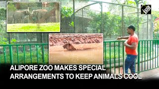 Alipore Zoo makes special arrangements to keep animals safe from summer [upl. by Shiekh]