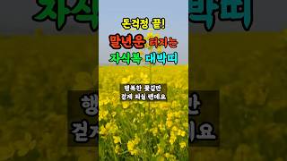 말년복 대박 노후에 돈복 자식복 좋은 띠 풍수 띠운세 [upl. by Levine]