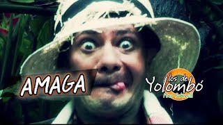 Amagá  Los De Yolombó l Video Oficial [upl. by Ailahs81]