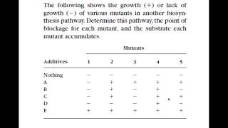 Biochem Pathway Analysis part 1 [upl. by Adeirf]