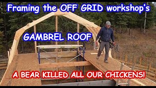 Episode 11 FRAMING THE OFF GRID WORKSHOPS GAMBREL ROOF  A bear killed all our chickens [upl. by Llenrac]