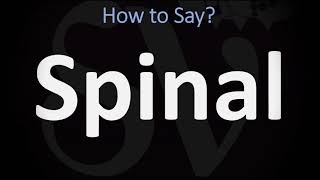 How to Pronounce Spinal CORRECTLY [upl. by Eelloh727]