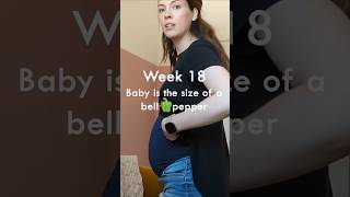 18 weeks pregnant baby development [upl. by Eaned]