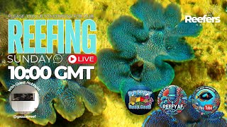 quotREEFING SUNDAYquot Live Stream with Guest Hobbyist quotGazzasreefquot [upl. by Aonehc]