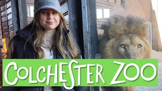 A Trip to Colchester Zoo [upl. by Starla]