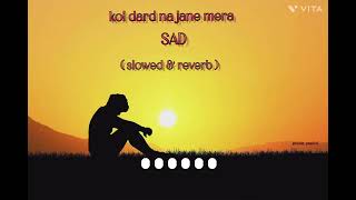 KOI DARD NA JANE MERA SLOWED amp REVERB LOFI SAD SONG Rohitpatel741 [upl. by Eened]