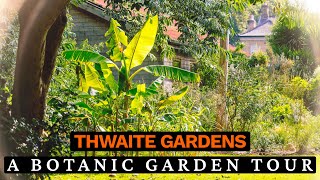 Thwaite Gardens September Tour with Steve Howe  Exotic Plants amp Tropical Displays [upl. by Lihka937]