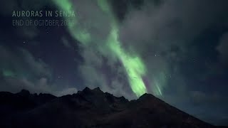 Realtime Auroras in Senja Norway End of October 2024 [upl. by Ahsinev]