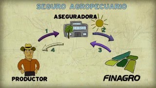 Finagro Institucional con animación [upl. by Malcah575]