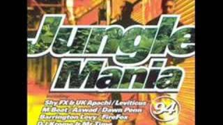 Jungle Mania 94 DMS amp The Boneman X Sweet Vibrations [upl. by Monteria]