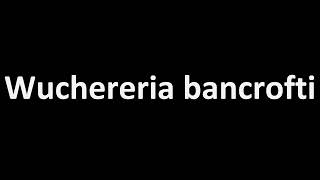 How to Pronounce Wuchereria bancrofti CORRECTLY [upl. by Whitebook]