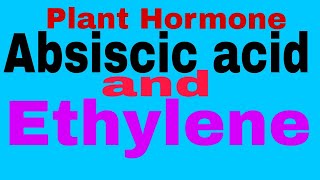 Plant HormoneAbscisic Acid And Ethylene TGTPGTNEETMScBScClass 12thClass 10thCBSE Board [upl. by Sadie]