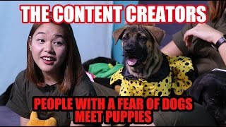 TCCP plays People With A Fear Of Dogs Meet Puppies [upl. by Adnoved]