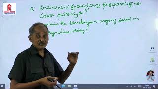 Himalayan Orogeny Geosyncline Theory  హిమాలయ ఆవిర్భావము  భూఅభినితి సిద్దాంతము [upl. by Francie]