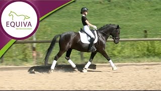 EQUIVADressurserie Teil 4 Übergänge reiten [upl. by Peti]