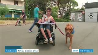 France3 MP itw Kevine Fermine refusé avec son chien assistance par Carrefour [upl. by Dannica]