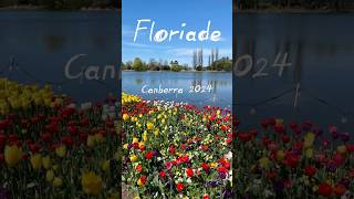 Floriade 2024  Australias Biggest Celebration of Spring floriade flowers canberra australia [upl. by Doralyn]