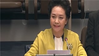 Peng Liyuan Equal opportunity for every child [upl. by Hannavahs408]